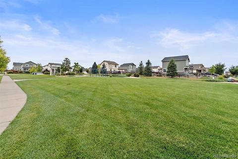 25935 E Maple Dr, Aurora, CO 80018 photo 6