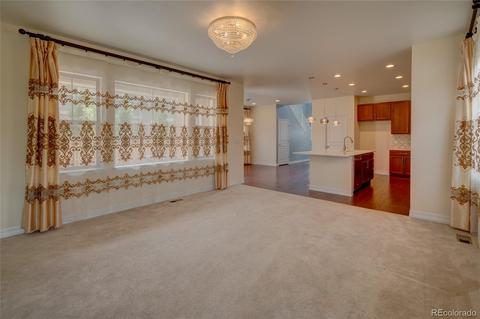 8401 E 54th Dr, Denver, CO 80238 photo 10