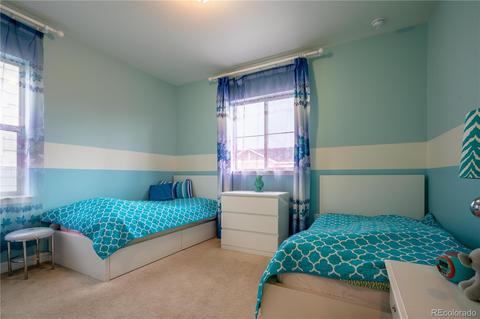 8401 E 54th Dr, Denver, CO 80238 photo 16