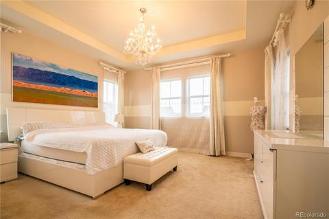 8401 E 54th Dr, Denver, CO 80238 photo 13