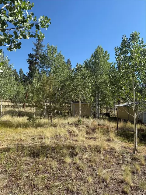103 Baker Rd, Bailey, CO 80421 photo 16