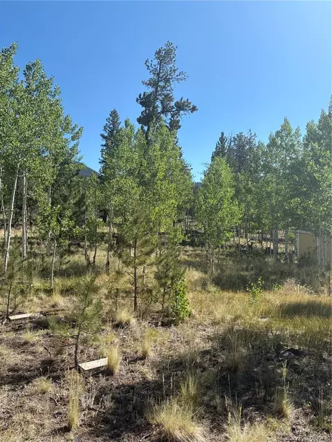 103 Baker Rd, Bailey, CO 80421 photo 4