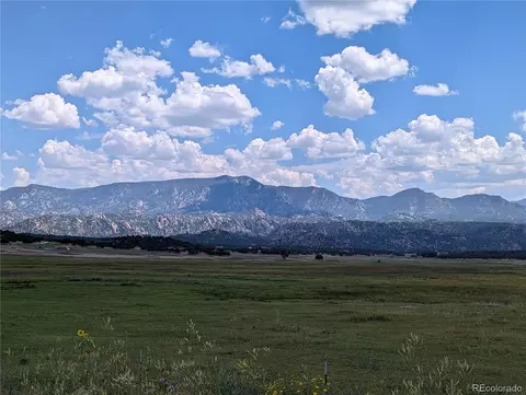 10284 Pioneer Trce, Nathrop, CO 81236