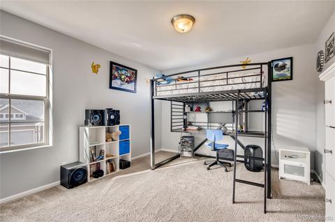 4845 Ceylon Way, Denver, CO 80249 photo 22