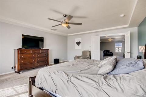 4845 Ceylon Way, Denver, CO 80249 photo 15