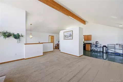 Living - 146 S Random Rd, Bailey, CO 80421 photo 6 of 6