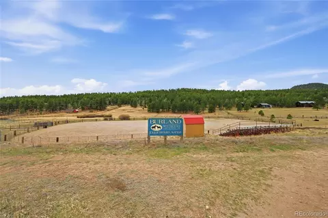 Other - 4718 County Road 72, Bailey, CO 80421 photo 15 of 15