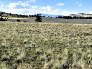 599 Summit Rd, Hartsel, CO 80449