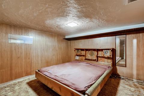 19927 Chamberlain Rd, Morrison, CO 80465 photo 19