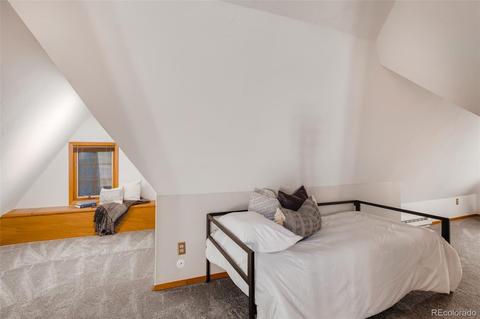 449 Eudora St, Denver, CO 80220 photo 19