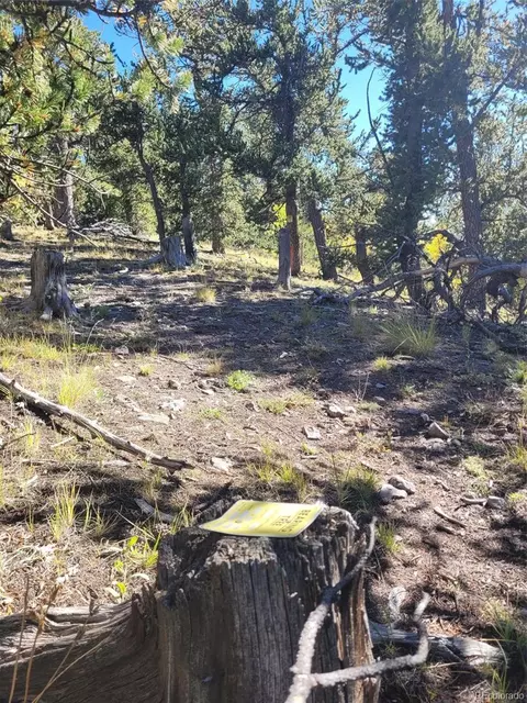 Tbd, Como, CO 80432 photo 14