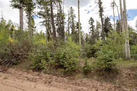 lot2614 Petito Dr, Fort Garland, CO 81133