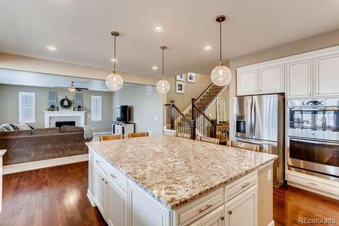 14364 Double Dutch Loop, Parker, CO 80134 photo 7