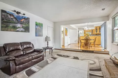 11560 Elm Ct, Thornton, CO 80233 photo 20
