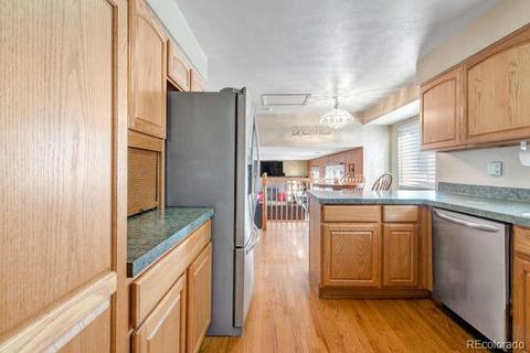 4080 E 115th Pl, Thornton, CO 80233 photo 10