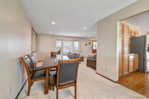 4080 E 115th Pl, Thornton, CO 80233 photo 7