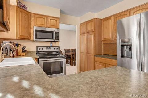 4080 E 115th Pl, Thornton, CO 80233 photo 9