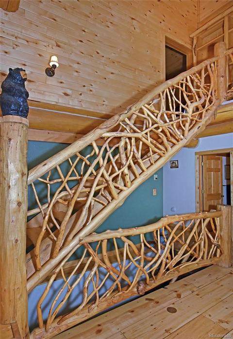79 Buggy Whip Rd, Bailey, CO 80421 photo 8