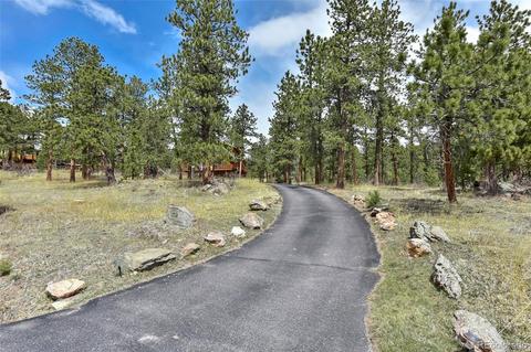 79 Buggy Whip Rd, Bailey, CO 80421 photo 30