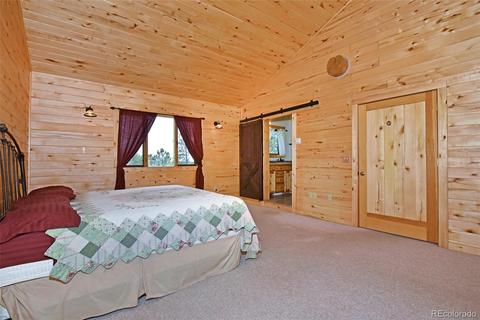 79 Buggy Whip Rd, Bailey, CO 80421 photo 24