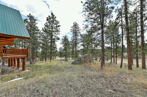 79 Buggy Whip Rd, Bailey, CO 80421 photo 36