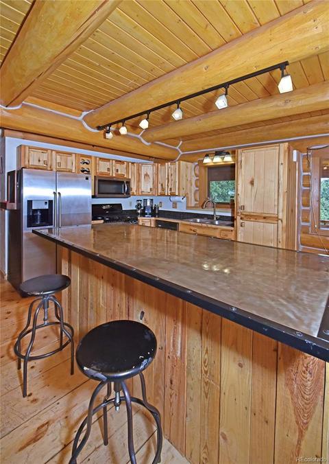 79 Buggy Whip Rd, Bailey, CO 80421 photo 11