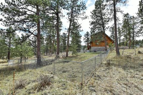 79 Buggy Whip Rd, Bailey, CO 80421 photo 35