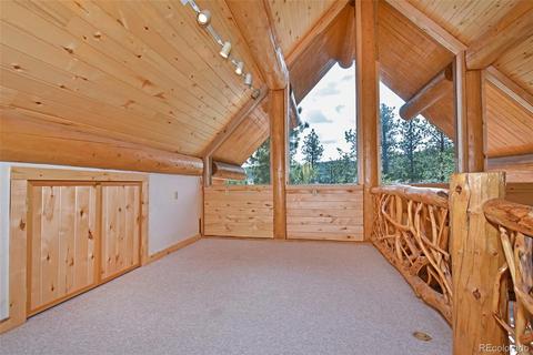 79 Buggy Whip Rd, Bailey, CO 80421 photo 21