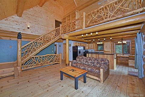 79 Buggy Whip Rd, Bailey, CO 80421 photo 5