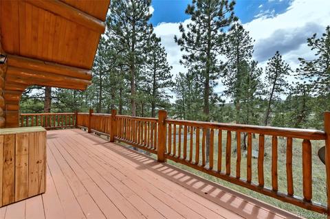 79 Buggy Whip Rd, Bailey, CO 80421 photo 3