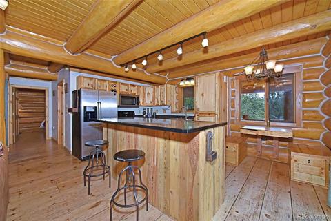 79 Buggy Whip Rd, Bailey, CO 80421 photo 9
