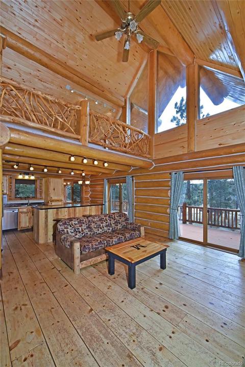 79 Buggy Whip Rd, Bailey, CO 80421 photo 20