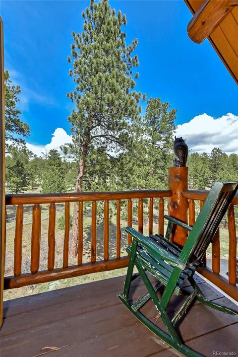 79 Buggy Whip Rd, Bailey, CO 80421 photo 26