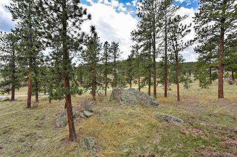 79 Buggy Whip Rd, Bailey, CO 80421 photo 38