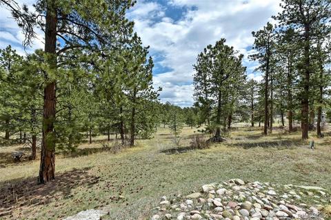 79 Buggy Whip Rd, Bailey, CO 80421 photo 37