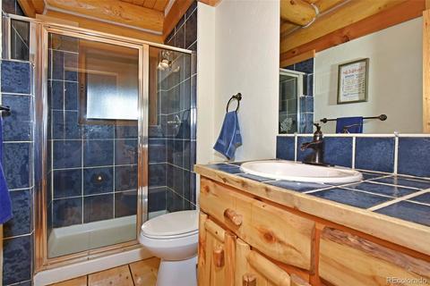 79 Buggy Whip Rd, Bailey, CO 80421 photo 17