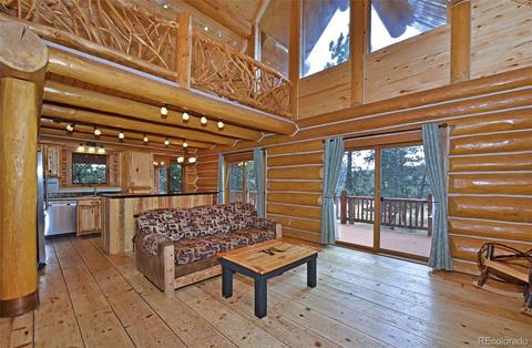 79 Buggy Whip Rd, Bailey, CO 80421 photo 4