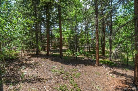126 Tschaikovsky Rd, Black Hawk, CO 80422 photo 14