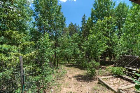 126 Tschaikovsky Rd, Black Hawk, CO 80422 photo 19