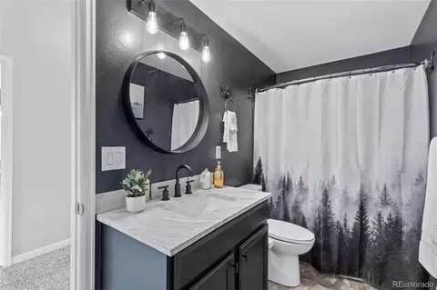 305 Virginia Rd #H, Bailey, CO 80421 photo 21