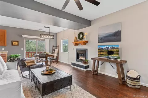 305 Virginia Rd #H, Bailey, CO 80421 photo 5