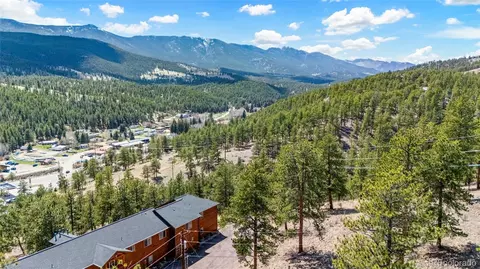 305 Virginia Rd #H, Bailey, CO 80421 photo 3