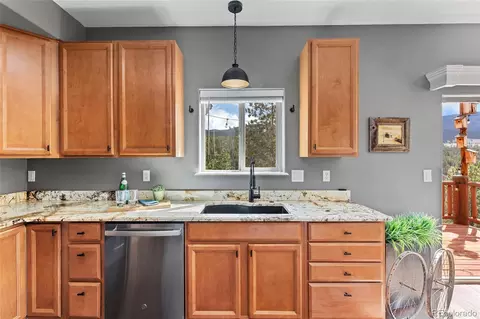 305 Virginia Rd #H, Bailey, CO 80421 photo 12