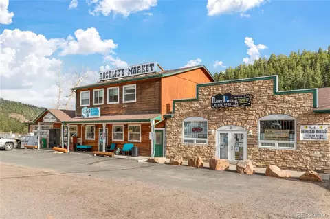 305 Virginia Rd #H, Bailey, CO 80421 photo 44