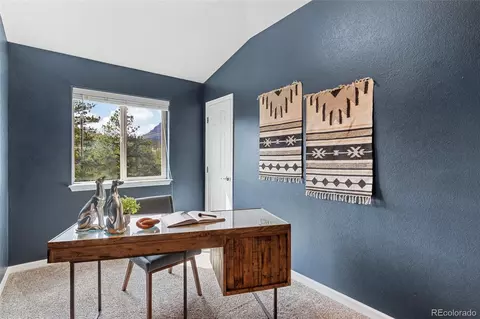 305 Virginia Rd #H, Bailey, CO 80421 photo 18