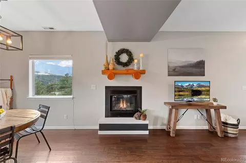 305 Virginia Rd #H, Bailey, CO 80421 photo 16