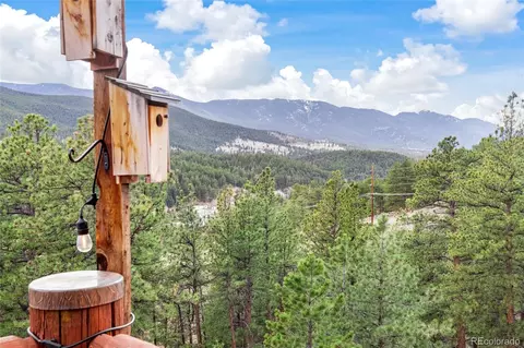 305 Virginia Rd #H, Bailey, CO 80421 photo 2