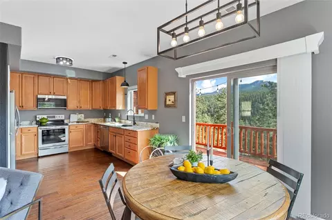 305 Virginia Rd #H, Bailey, CO 80421 photo 6