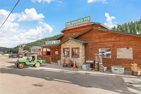 305 Virginia Rd #H, Bailey, CO 80421 photo 47