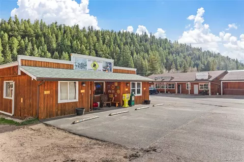 305 Virginia Rd #H, Bailey, CO 80421 photo 46